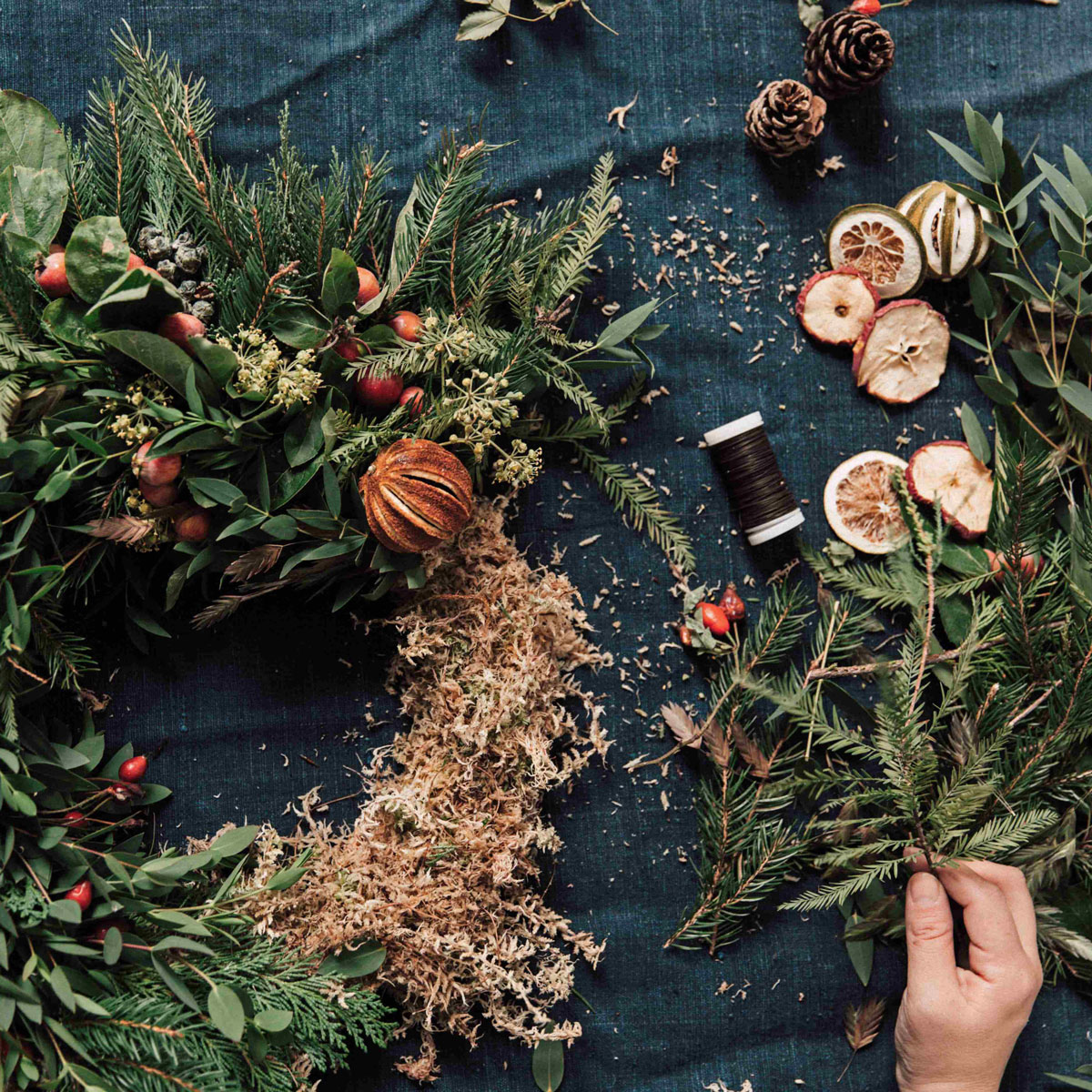 CHRISTMAS AT HACKNEY CHURCH GARDENS