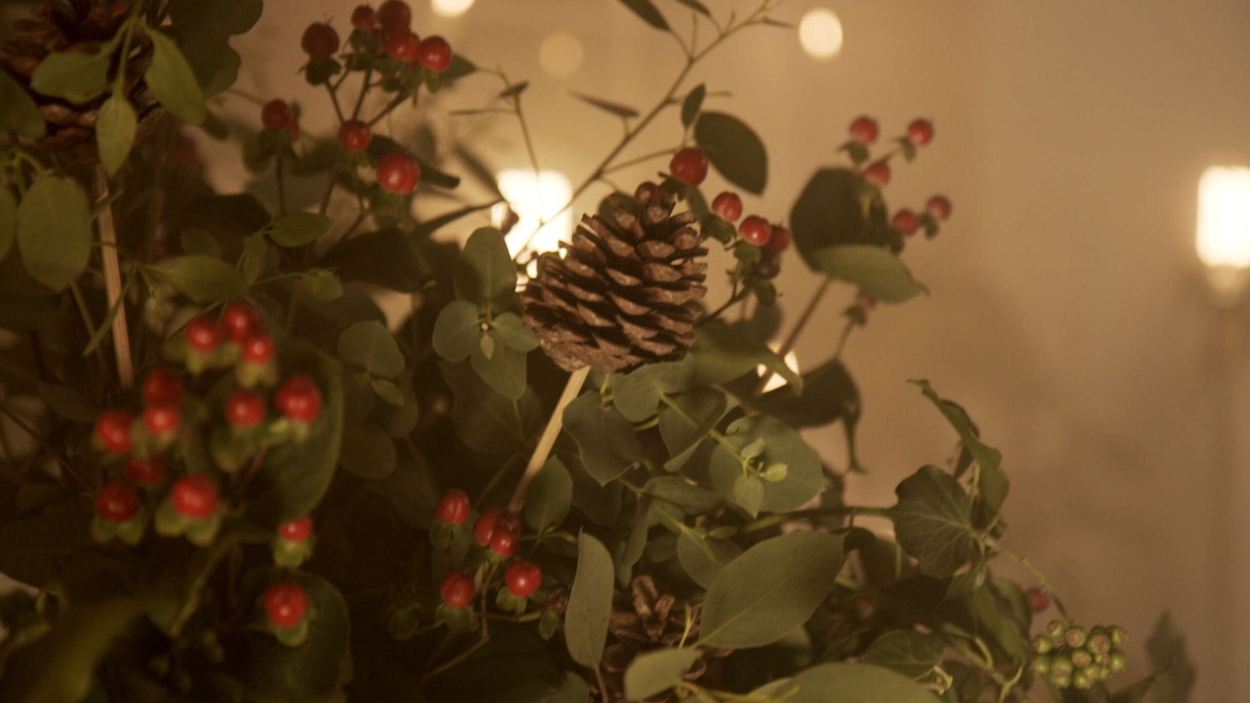 EXPERIENCE HOPE THIS CHRISTMAS